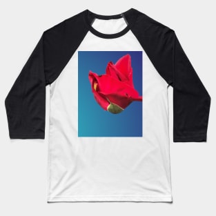 Majestic red macro rose Baseball T-Shirt